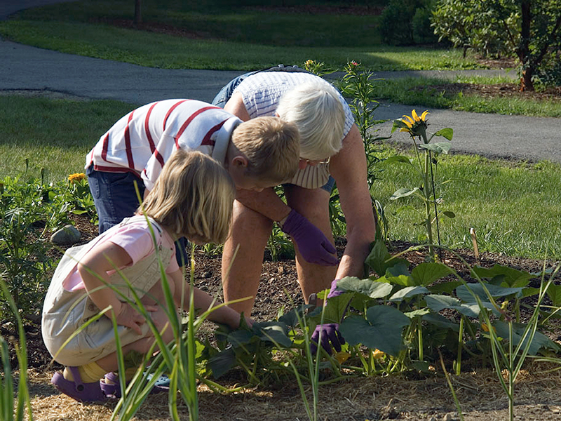 Gardening with 2 grandchildren