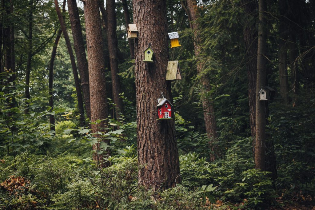 Bird houses
