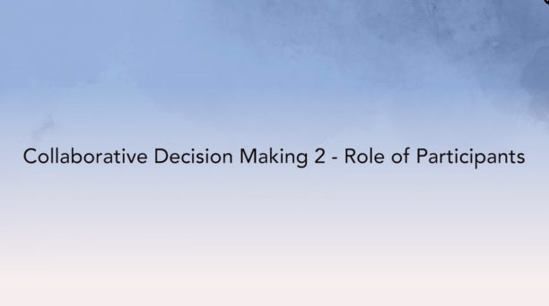 Collaborative Decision Making, Participants role