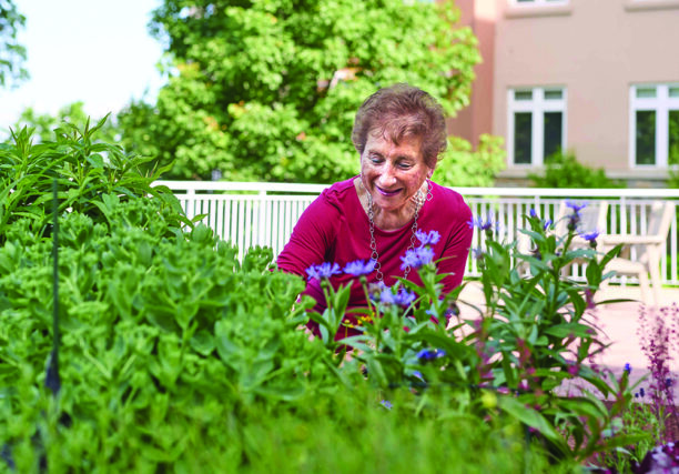 Senior living resident gardens