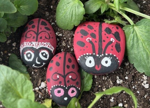 Ladybug Rocks at Lathrop